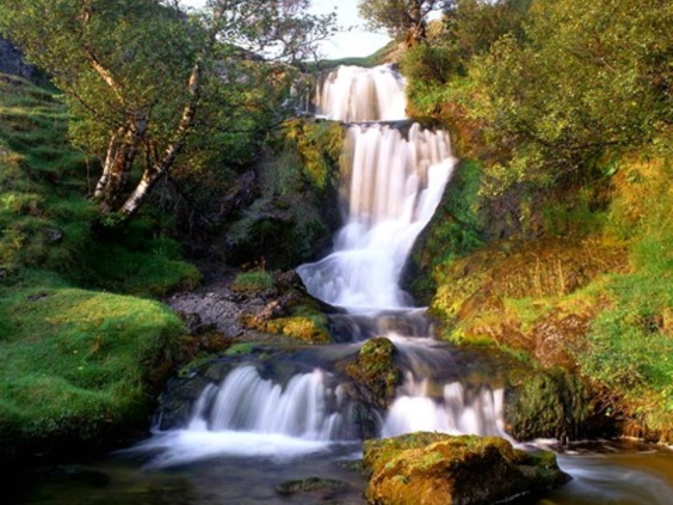 鼎湖山听泉PPT2修改_第2页