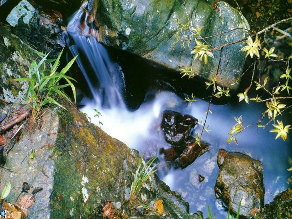 鼎湖山听泉PPT2修改_第3页