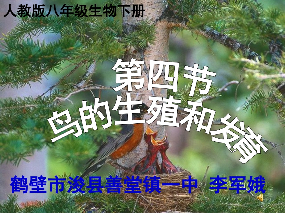 鸟的生殖和发育课件(人教版2011八年级下)_第1页