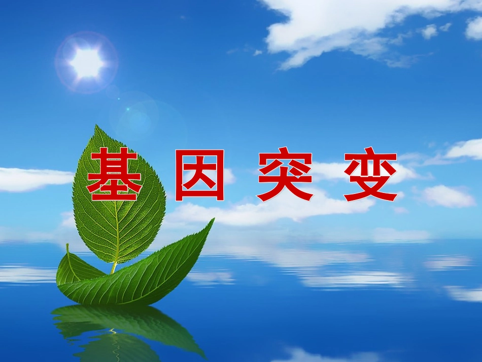 高三生物基因突变课件_第2页