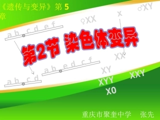 高三一轮复习之《染色体变异》