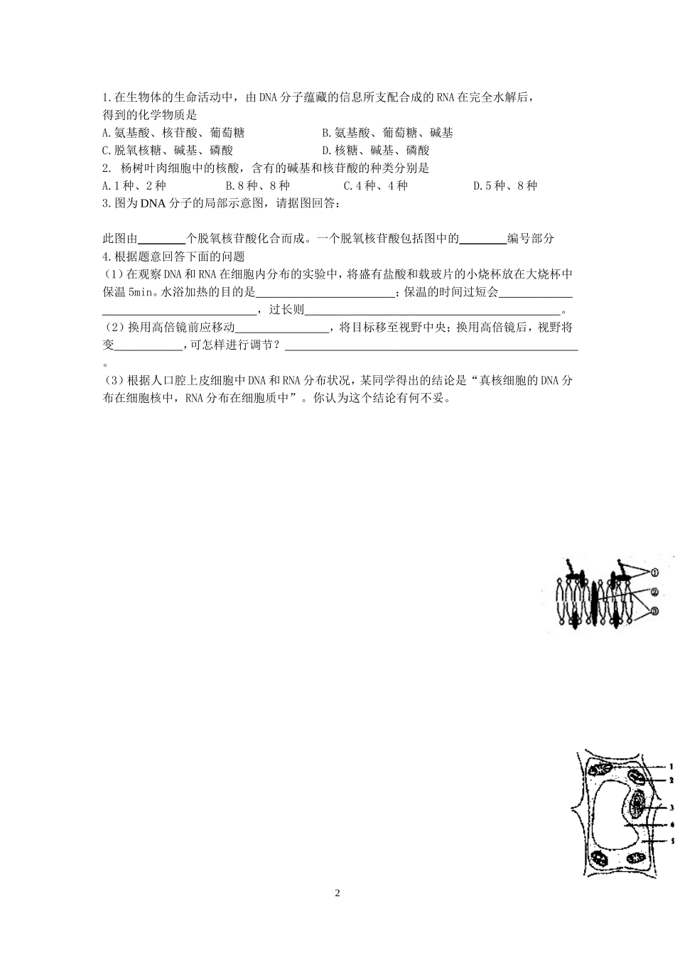 高一生物学案05设计_第2页