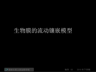高一生物生物膜的流动镶嵌模型课件