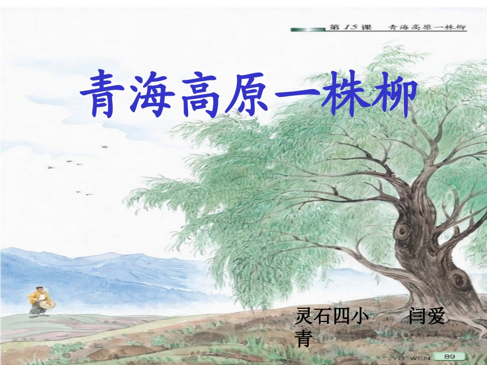 青海高原一株柳PPT_第1页