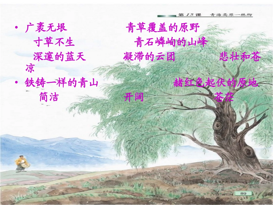 青海高原一株柳PPT_第2页