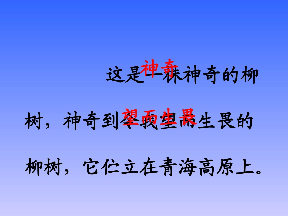 青海高原一株柳PPT_第3页