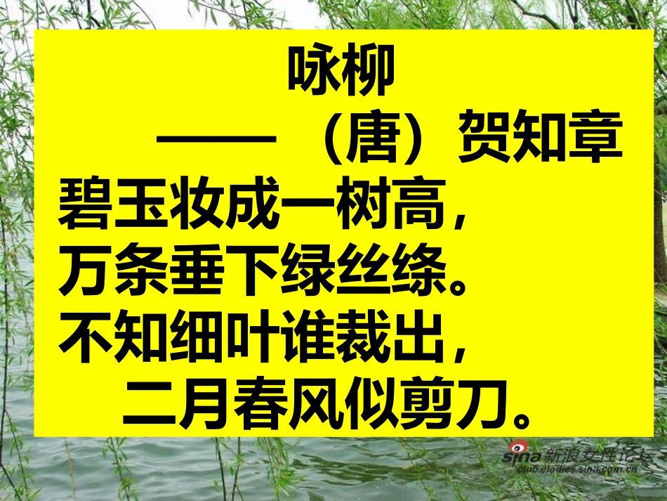 青海高原一株柳定稿_第3页
