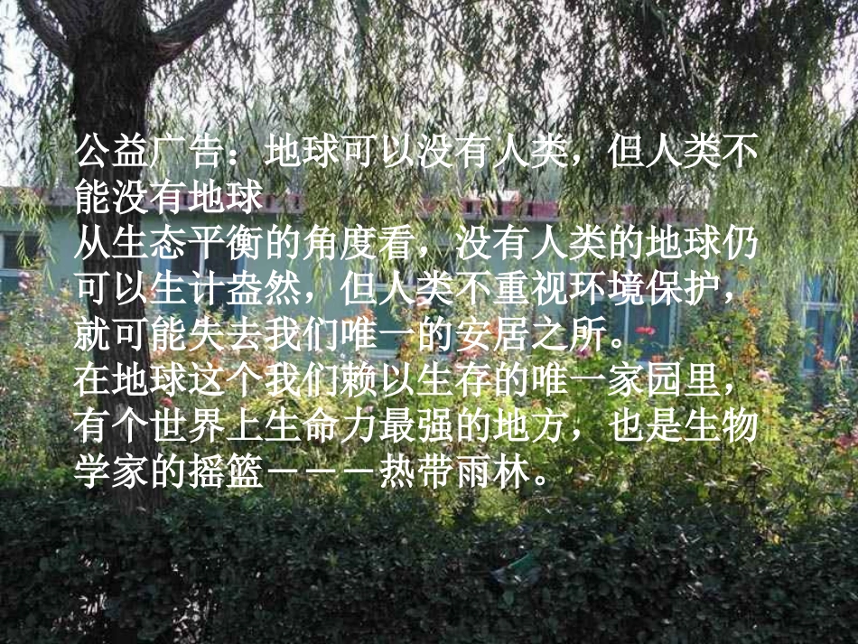 雨林的毁灭课件吉瑞先_第2页