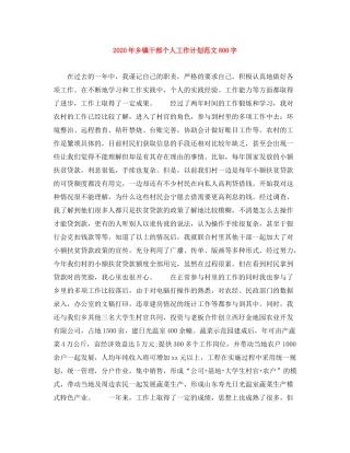2020年乡镇干部个人工作计划范文800字