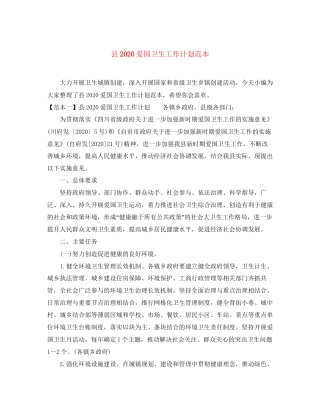 县爱国卫生工作计划范本