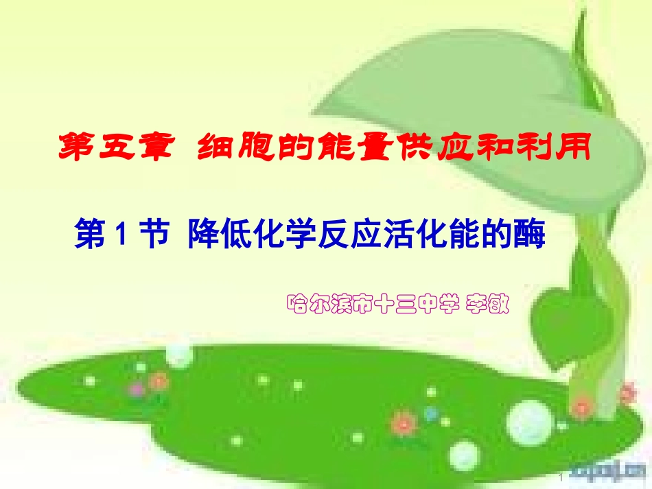 降低化学反应活化能的酶(百花奖）_第1页