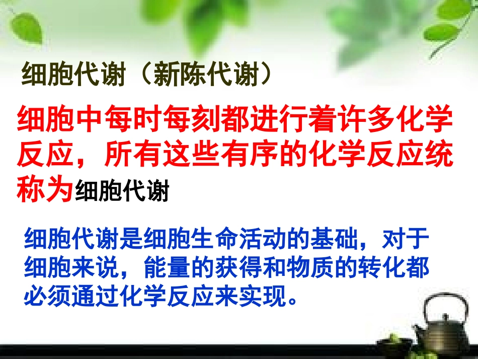 降低化学反应活化能的酶(百花奖）_第3页