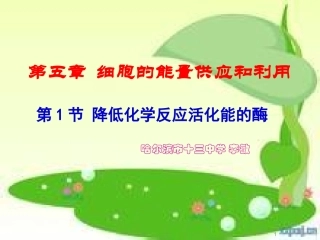 降低化学反应活化能的酶(百花奖）