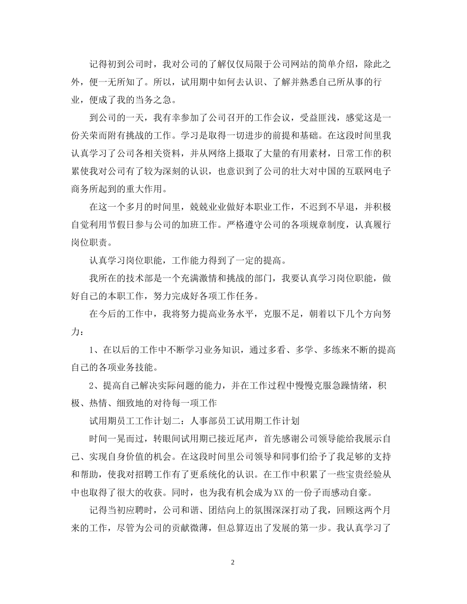 试用期员工工作计划模板_第2页