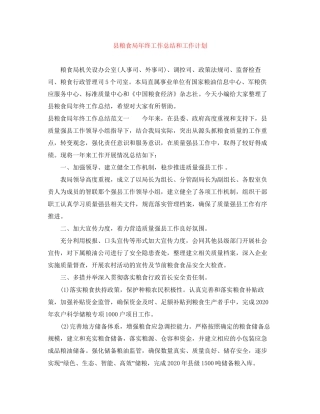 县粮食局年终工作总结和工作计划