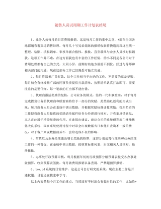 销售人员试用期工作计划表结尾