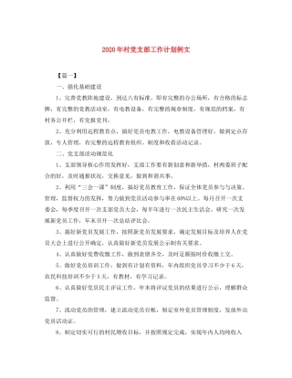 2020年村党支部工作计划例文