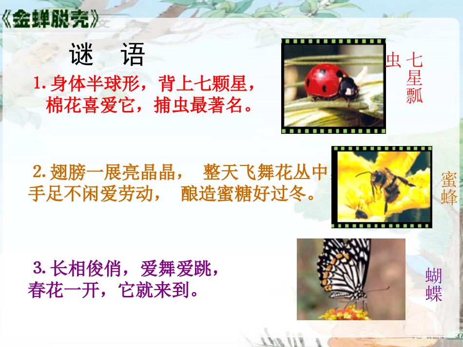 金蝉脱壳 课件_第1页