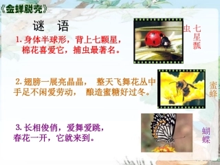 金蝉脱壳 课件
