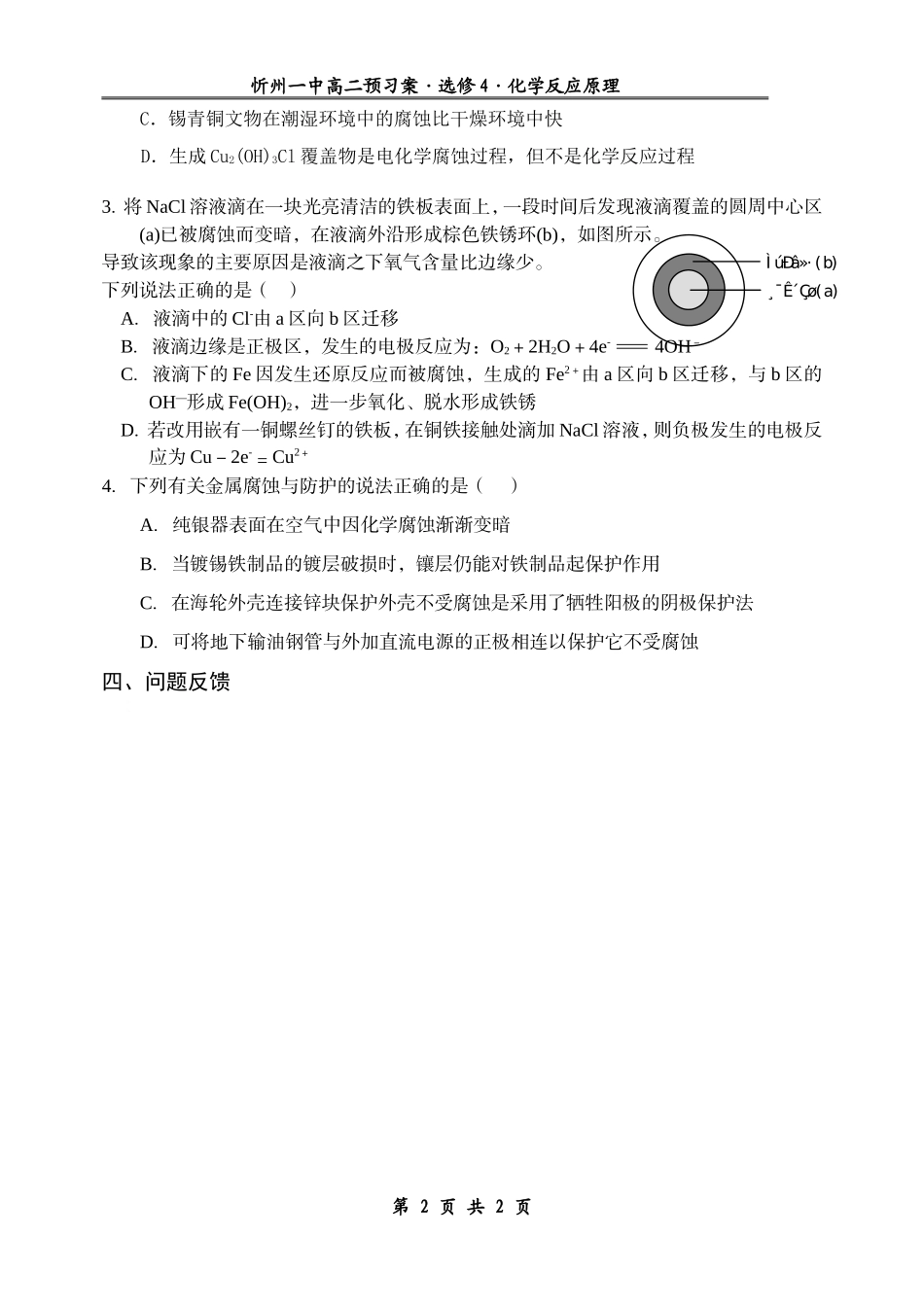 金属的电化腐蚀与防护_第2页