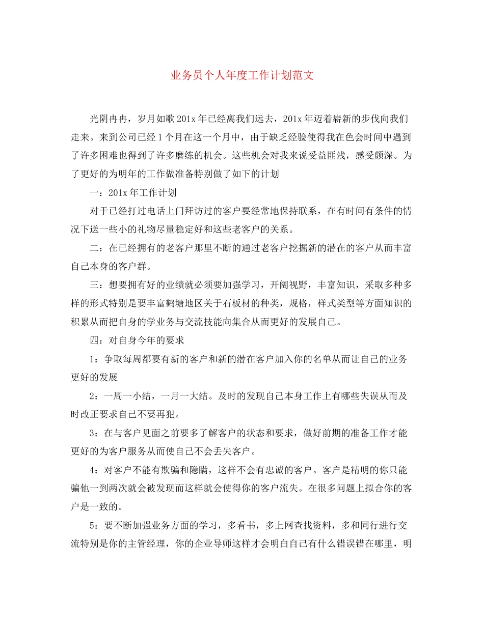 业务员个人年度工作计划范文_第1页