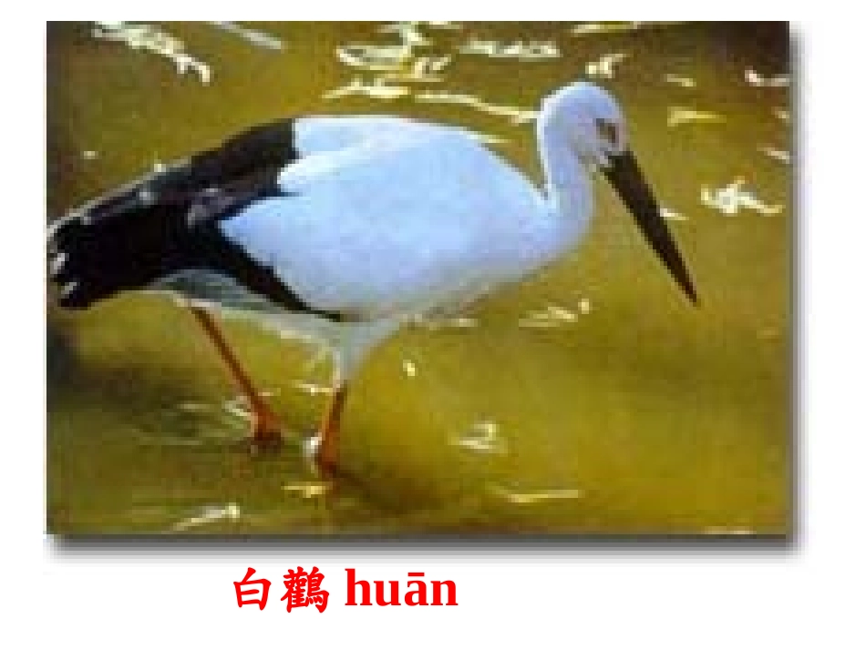 都市精灵课件 (2)_第2页
