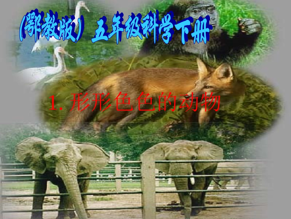 鄂教版_五年级科学《形形色色的动物》PPT课件_第1页
