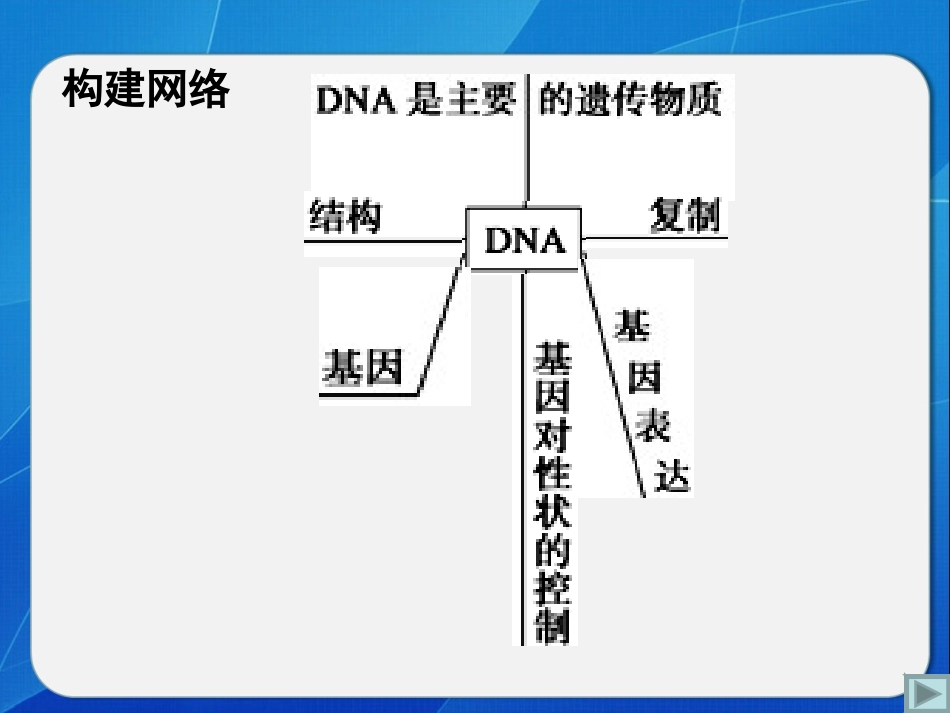遗传的分子基础_第2页