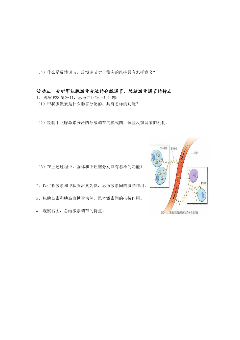 通过激素的调节 (2)_第3页
