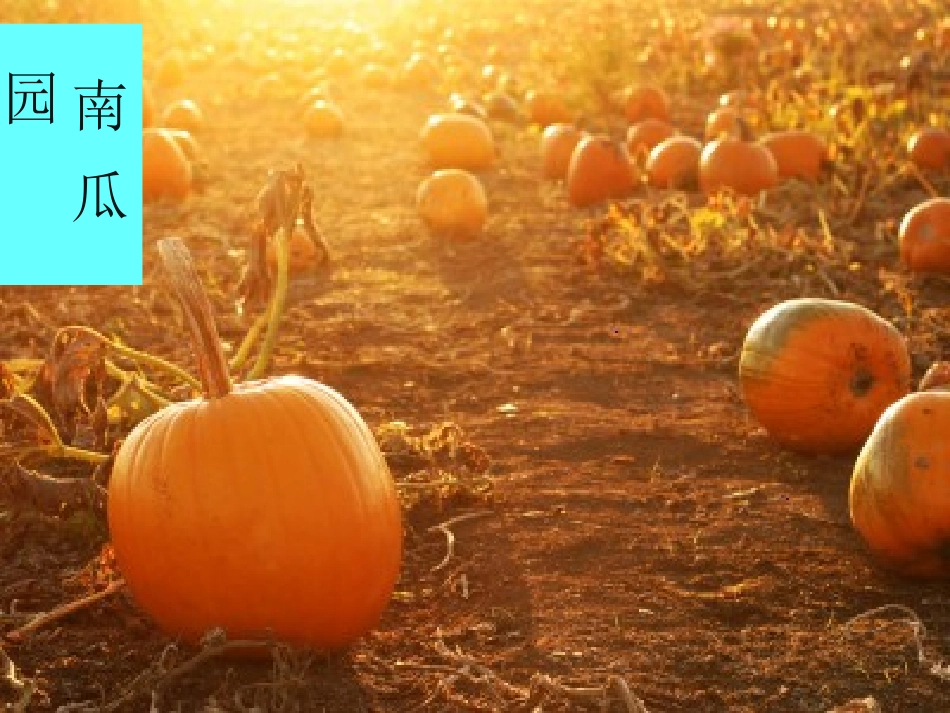 连加连减（孙）_第3页