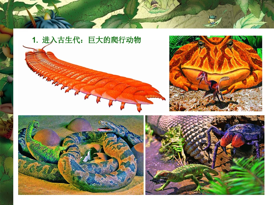 远古的动物朋友教学课件_第3页