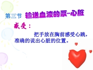 输送血液的泵心脏
