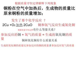 质量守恒定律2
