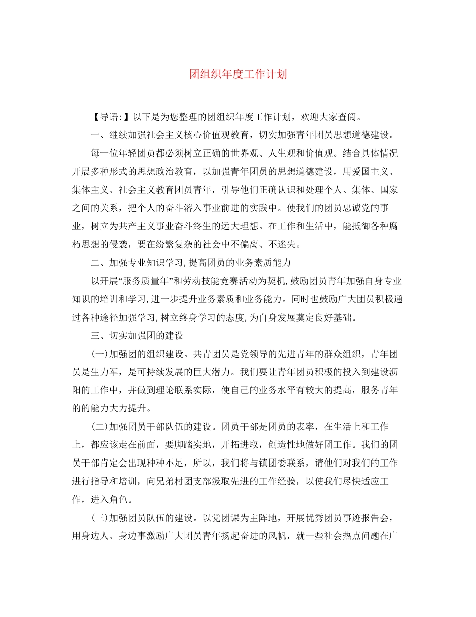 团组织年度工作计划_第1页