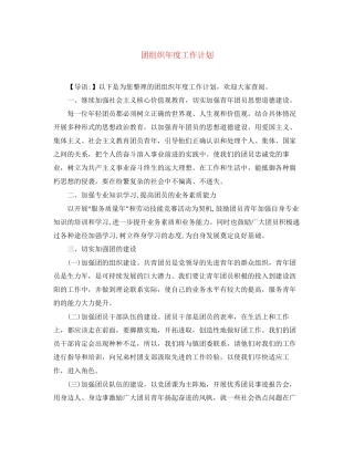 团组织年度工作计划