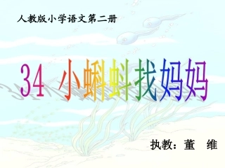 课件小蝌蚪找妈妈