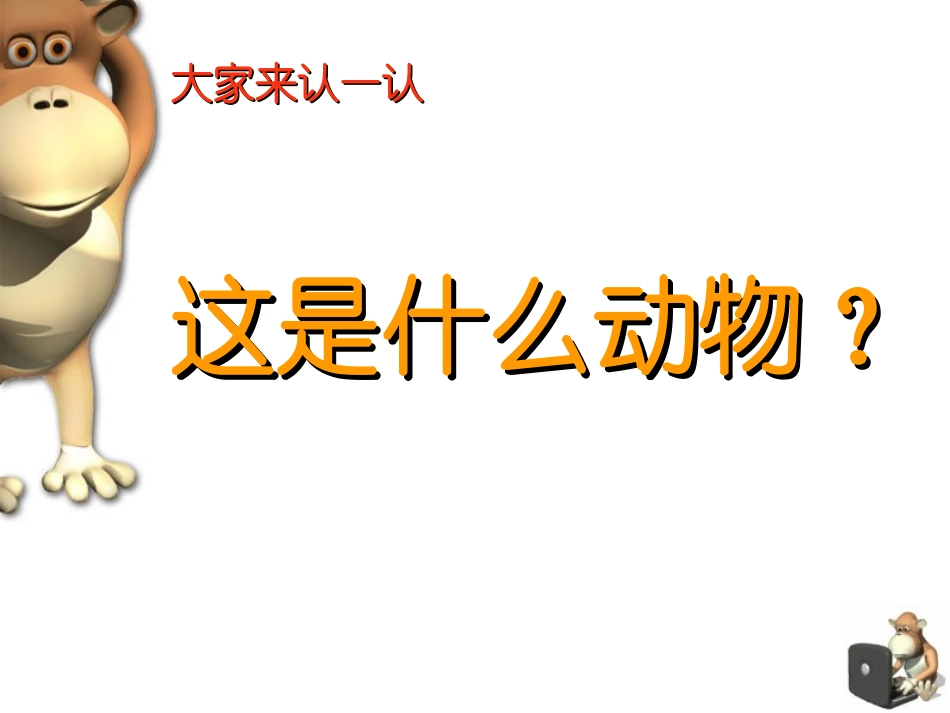 课件《动物的花衣裳》_第1页