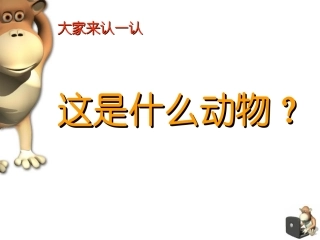 课件《动物的花衣裳》