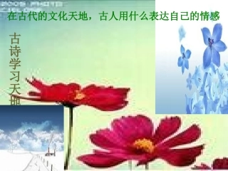 诗五首上课课件