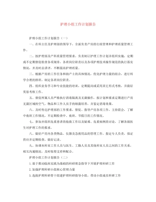 护理小组工作计划报告