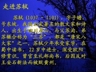 记承天寺夜游 (6)