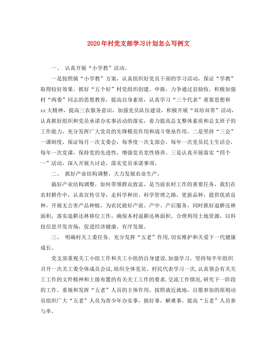 2020年村党支部学习计划怎么写例文_第1页