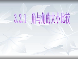 角与角的大小比较湘教版