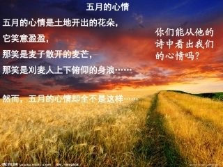 观刈麦公开课