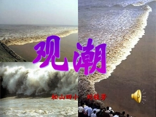 观潮（自） (2)