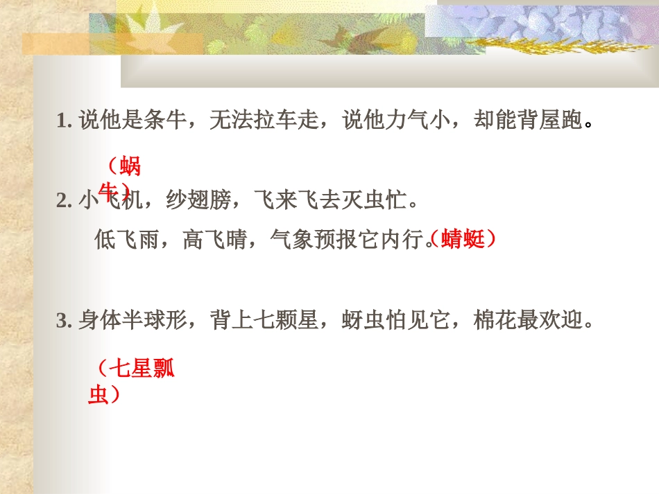 装满昆虫的衣袋_第1页
