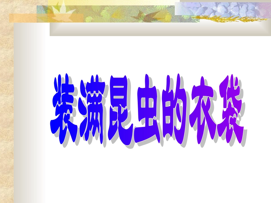 装满昆虫的衣袋_第3页