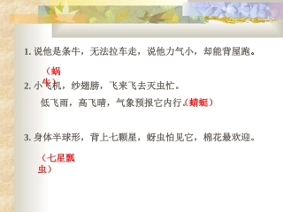 装满昆虫的衣袋