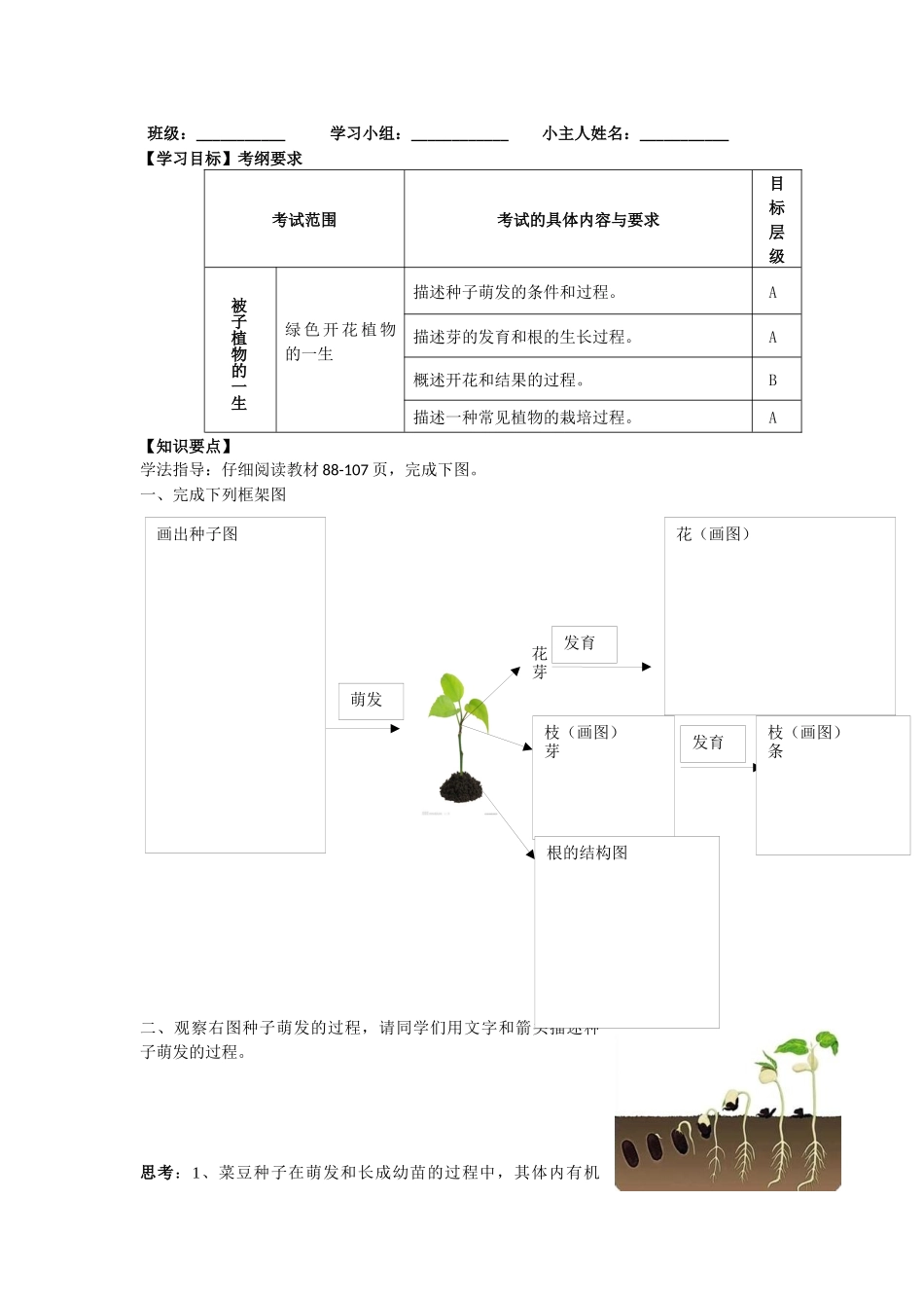 被子植物的一生（复习课）_第2页