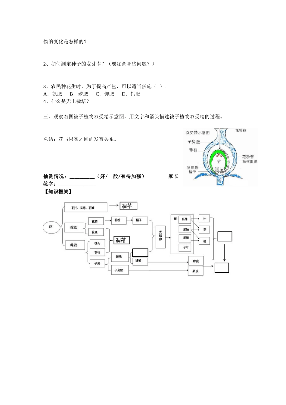 被子植物的一生（复习课）_第3页